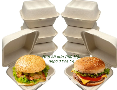 Hộp bã mía vuông hamburger